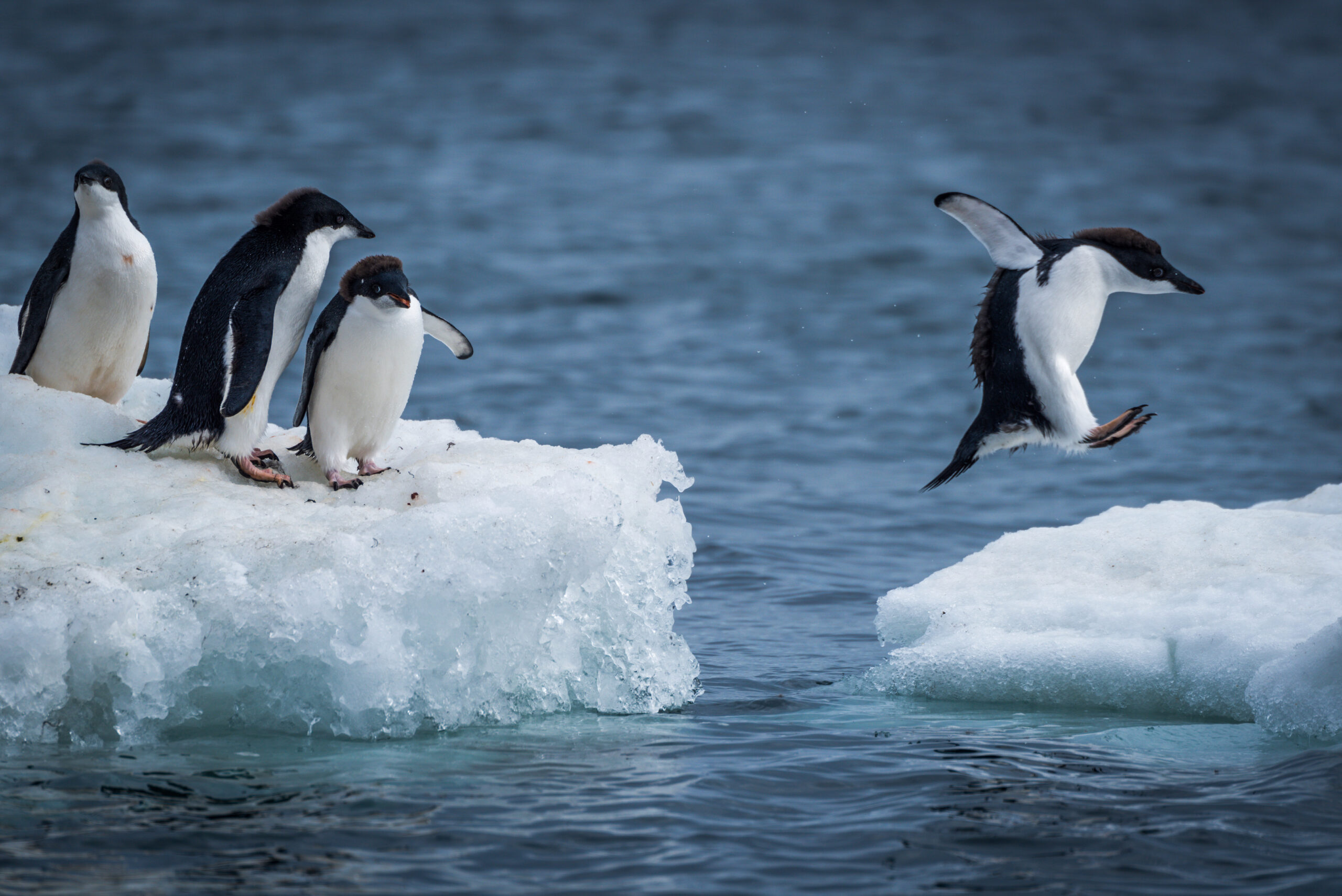 Fixed versus floating rate exposure | Is it time to switch?