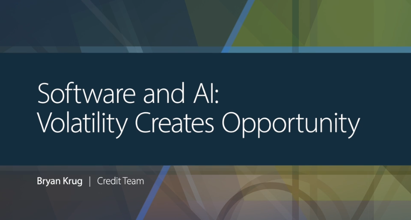 Artisan Credit Opportunities Fund | Software and AI: Volatility Creates Opportunity